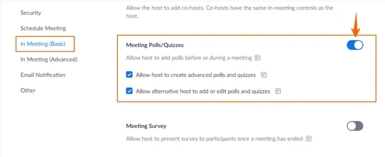 ‘Meeting Polls/ Quizzes
    