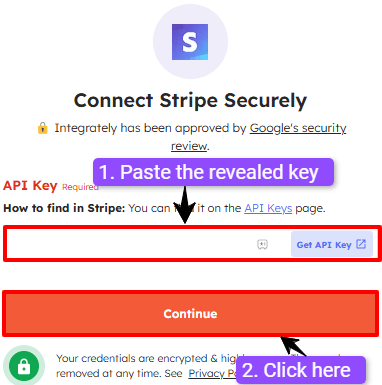 Where to paste the stripe's revealed key 